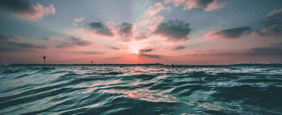 carbon sink and sources in coastal seas