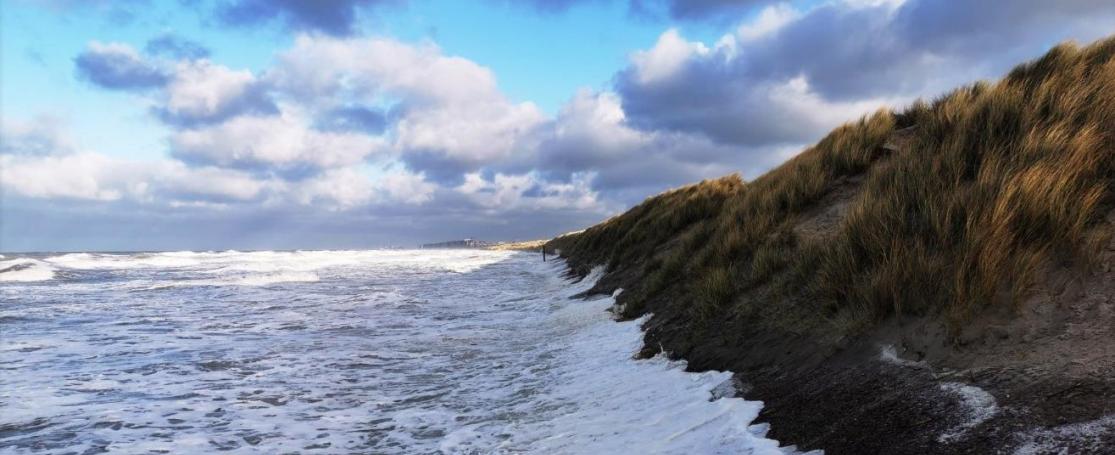 Duinen kustbescherming