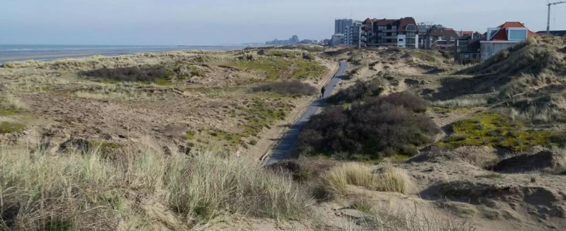 Ontsnippering duinen Westkust
