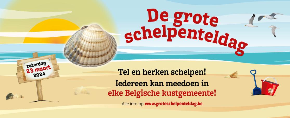 De Grote Schelpenteldag 2024