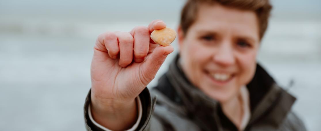 Halfgeknotte strandschelp meest gevonden op GSTD24