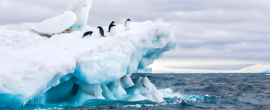 Onderzoek in de Zuidelijke Oceaan