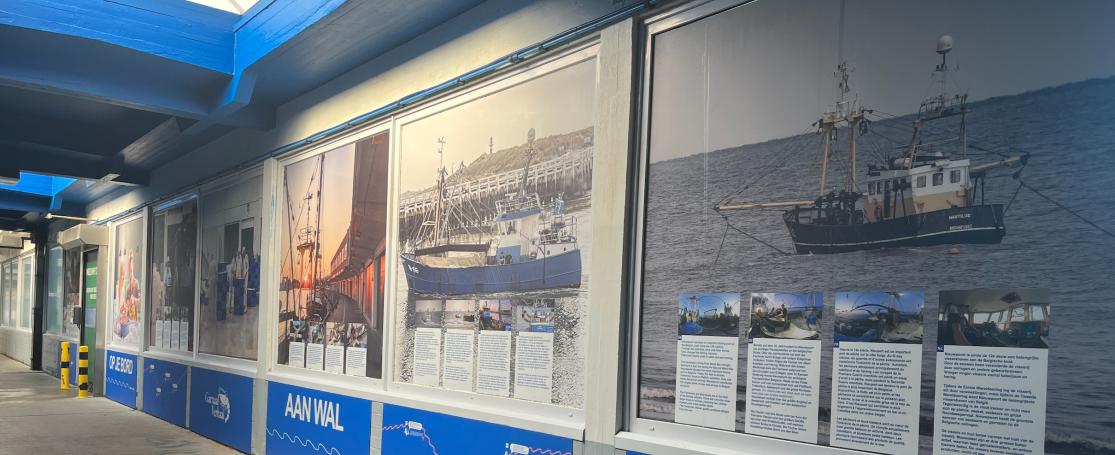 Het GarnaalVerhaal in vismijn Nieuwpoort