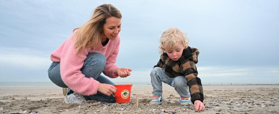 De Grote Schelpenteldag 2025