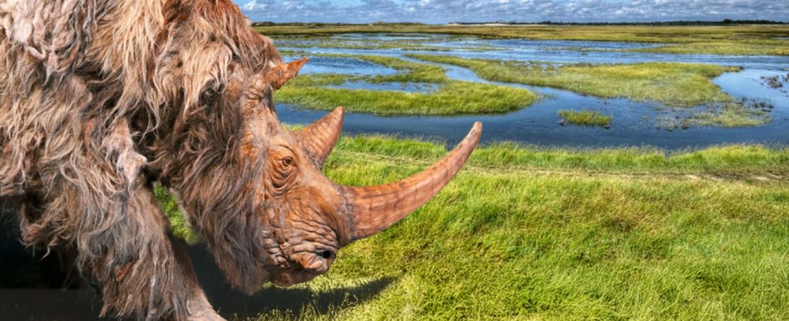 Camapgnebeeld expo Doggerland  Zwin Natuur Park