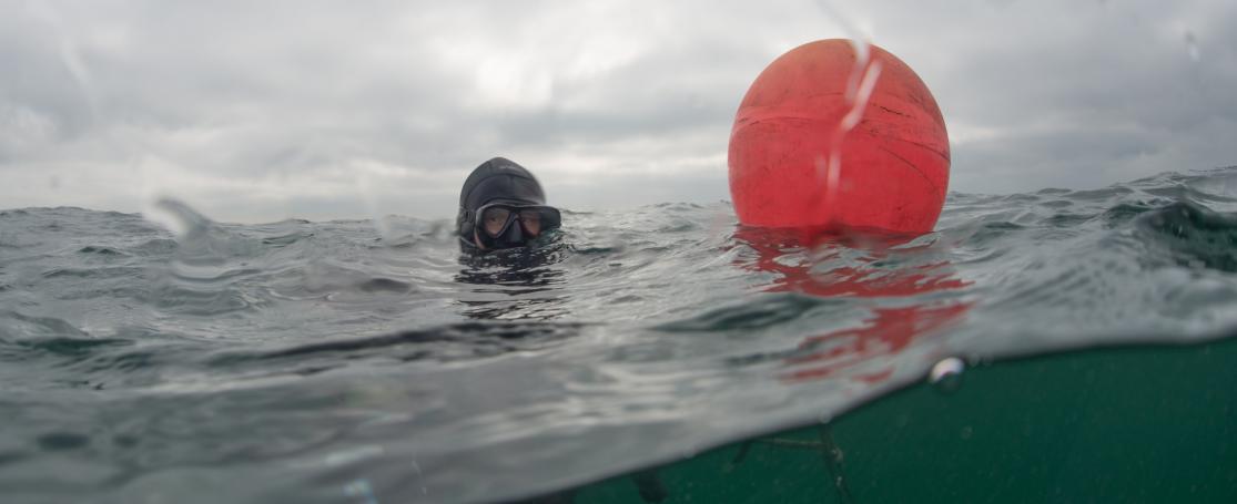 Lid van het VLIZ-duikteam in actie