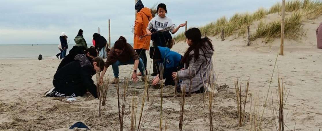 helmaanplantactie op het strand