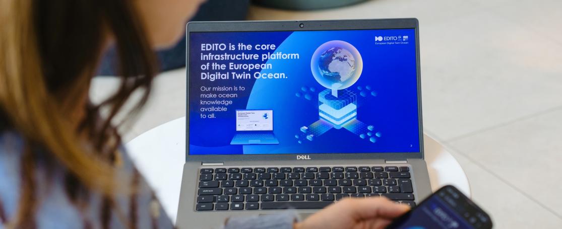 EDITO - Digital Twin Ocean