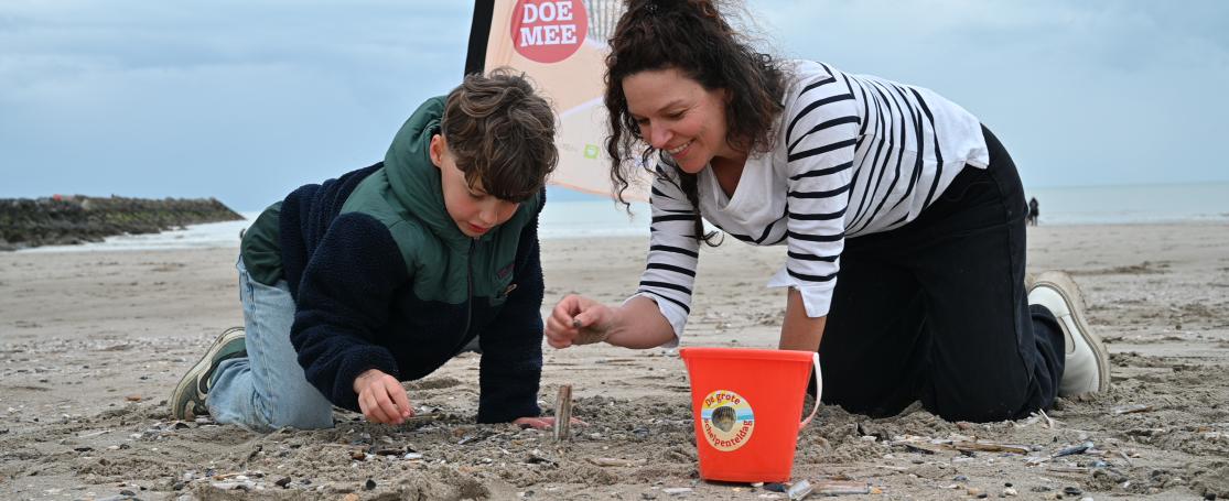Grote Schelpenteldag 2026