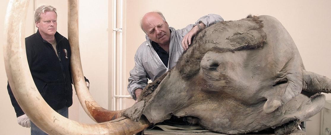  Dick Mol, Nederlands ijstijdfauna expert