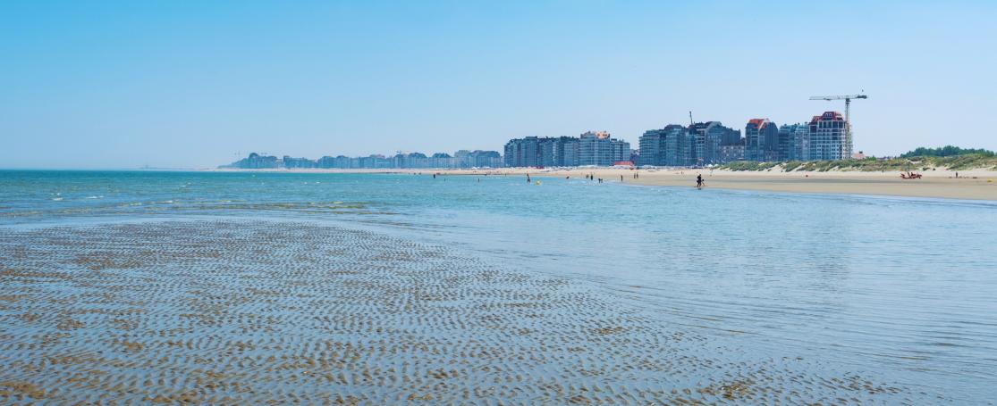 Vlaamse kust