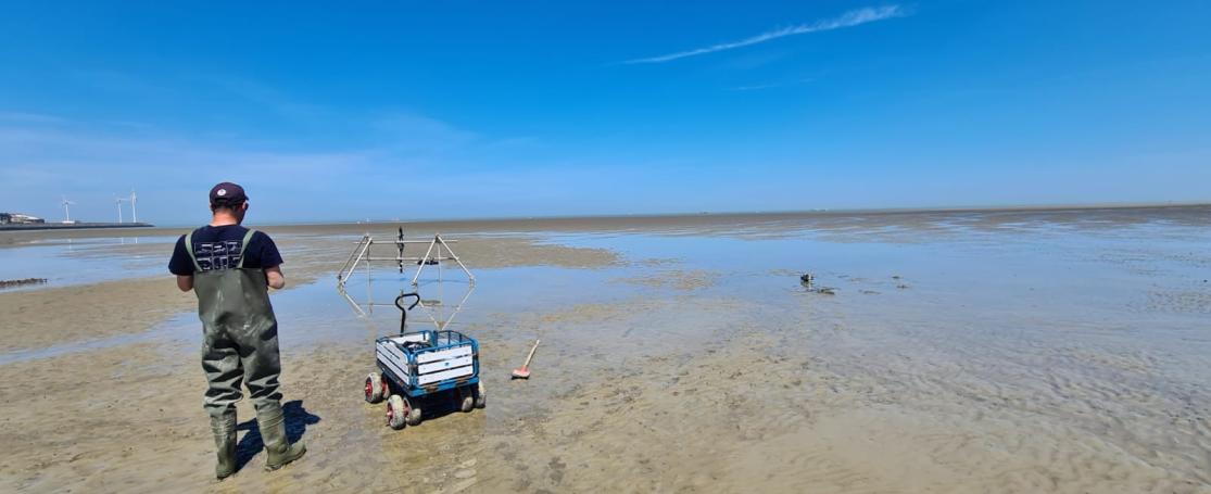 Experimentele opstelling in de Baai van Heist