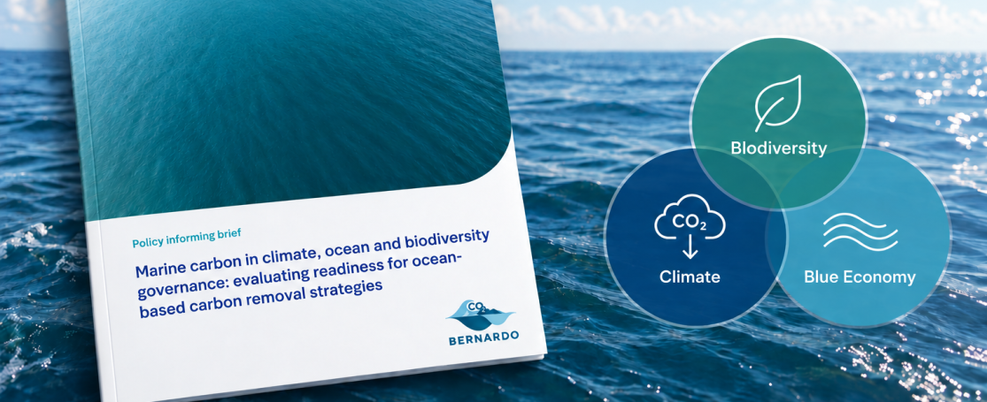 Cover PB ocean-based carbon removal BERNARDO