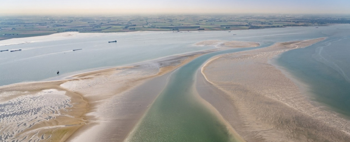 zicht op getijdengebied in het Schelde-estuarium