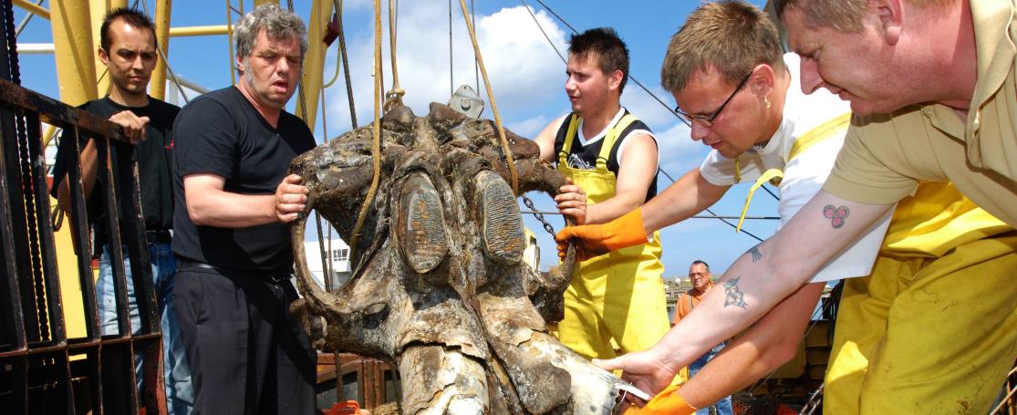 Studiedag fossielen Noordzee