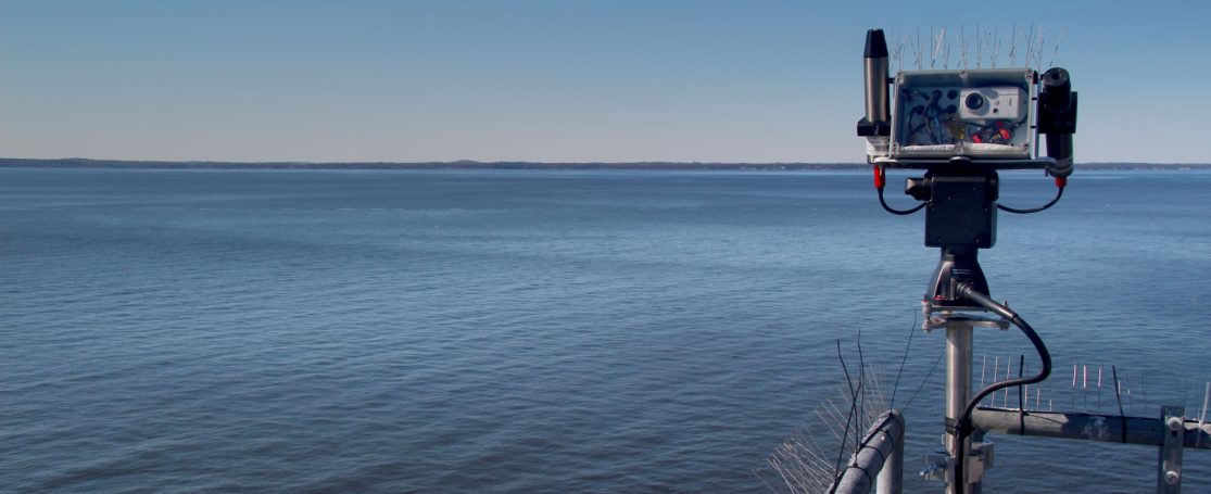 Cheasapeak Bay PANTHYR