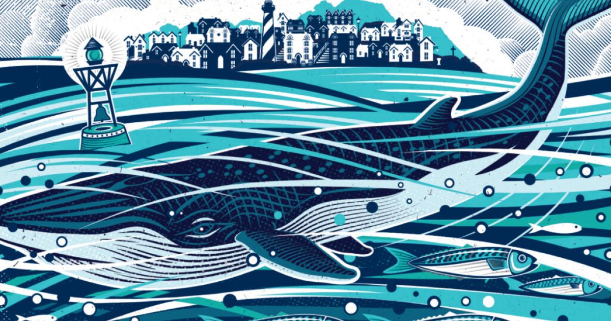 Boekentip: De dag dat de walvis kwam