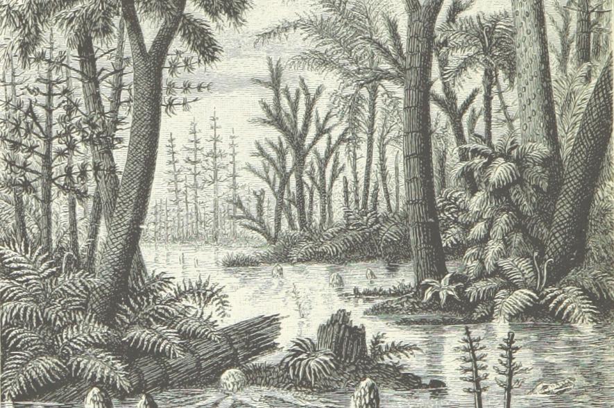 afbeelding uit: Blink (1885) Onze aarde. Handboek der natuurkundige aardrijkskunde.