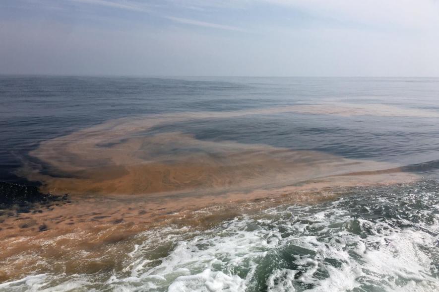 Een bloei van zeevonk toont zich overdag als een oranjerode film op het water. 
