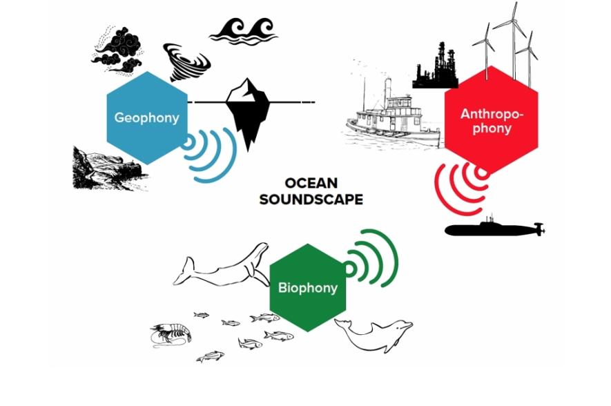Componenten van een onderwater soundscape