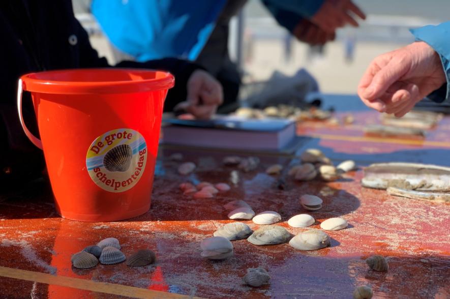 zonnige Grote Schelpenteldag 2022