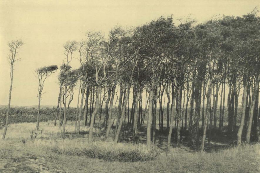 Massart - Bibliografie Geschiedenis van de Middenkust