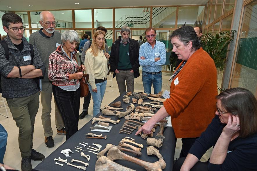 Studiedag Fossielen Noordzee