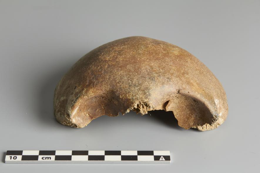Menselijke schedel Oostende