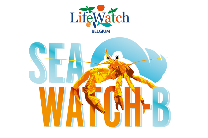 Strandobservatienetwerk SeaWatch-B