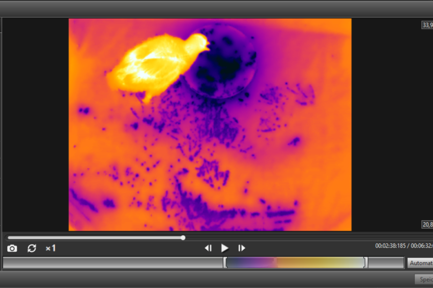 Beeld van warmtecamera in proeven 