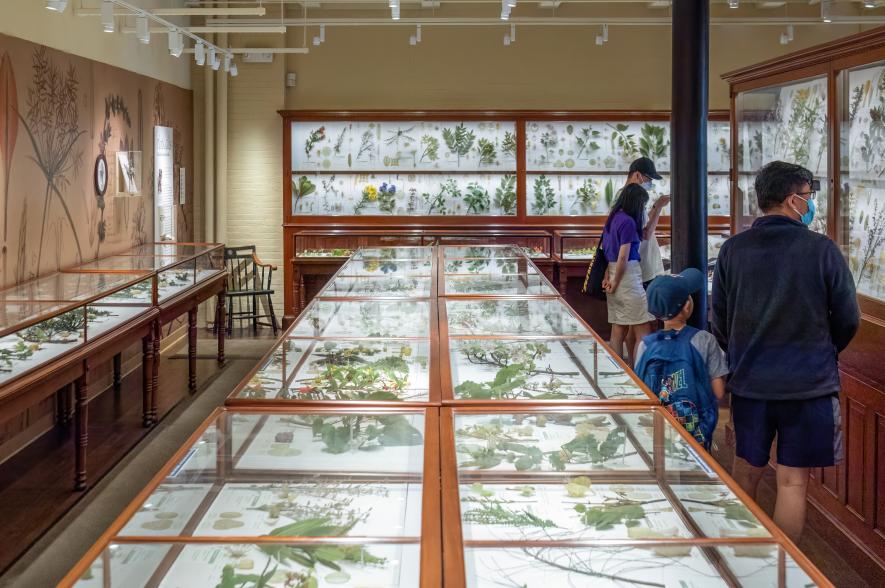 Glazen planetenmodellen Harvard University