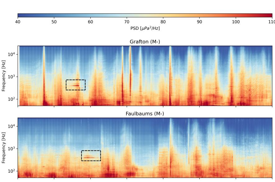 Underwater soundscapes near 2 shipwrecks in the North Sea 