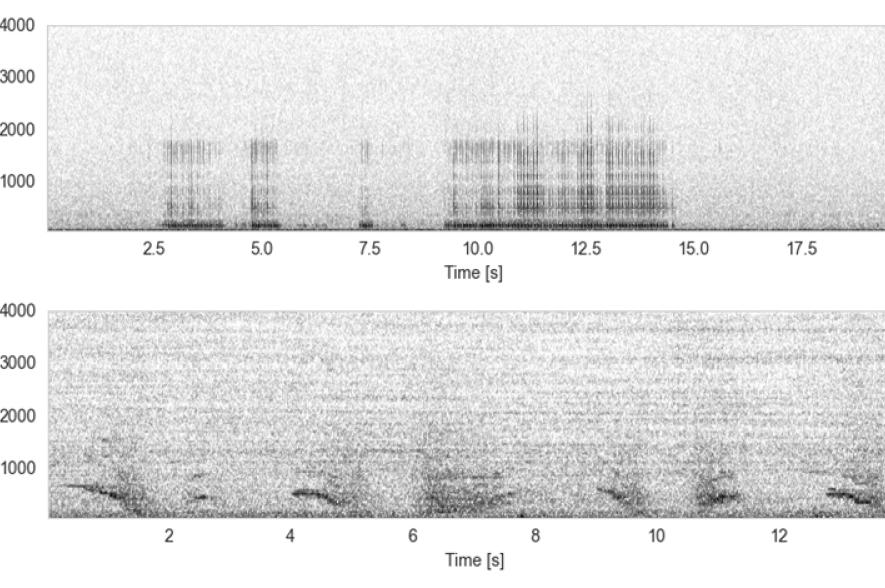 Onderwater geluiden opnames 