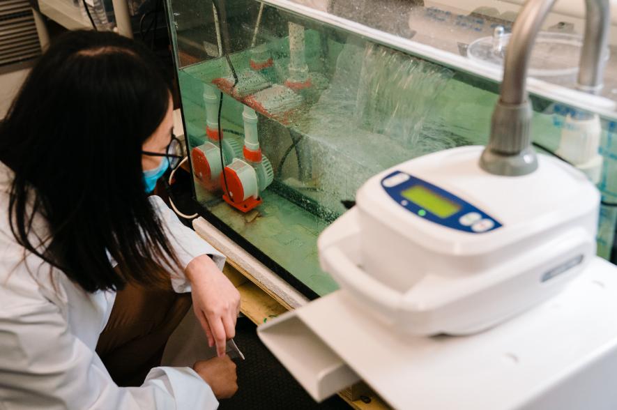 Labexperiment Yunmeng Li 