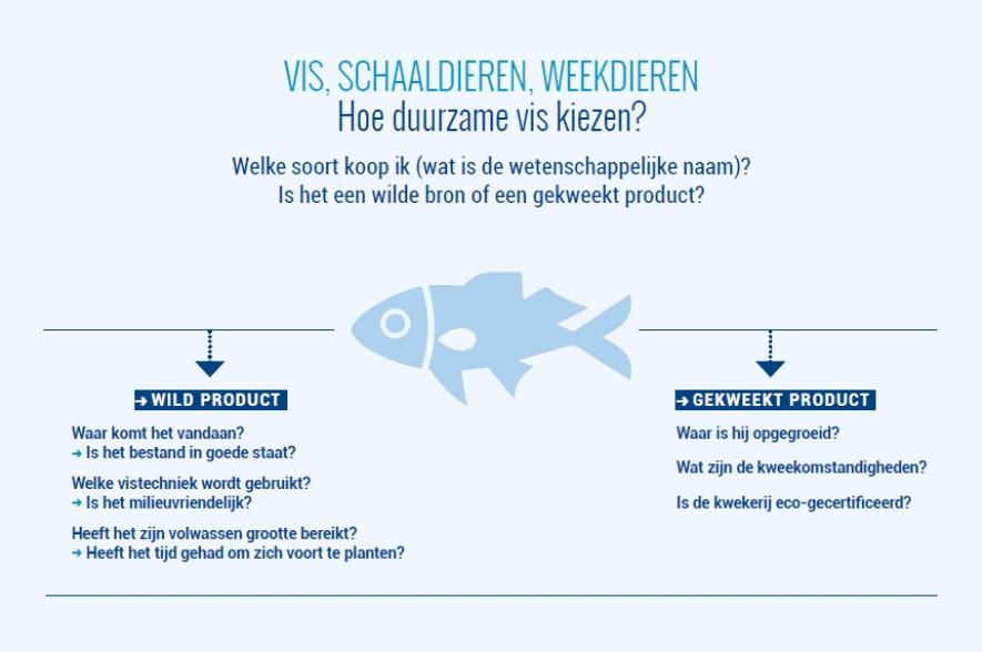 Hoe duurzame vis kiezen? 