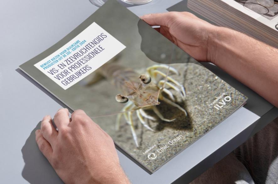 Vis- en zeevruchtengids 2024