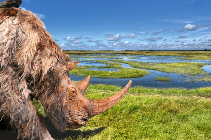 Camapgnebeeld expo Doggerland  Zwin Natuur Park