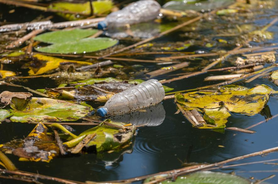 plastic en riet aan wateroppervlak