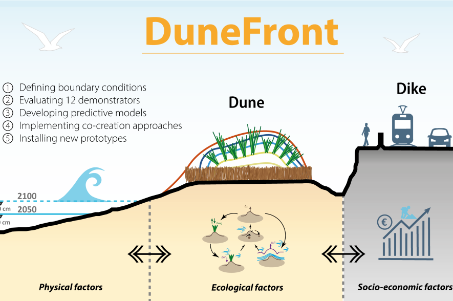 Grafische voorstelling van het DuneFront concept.