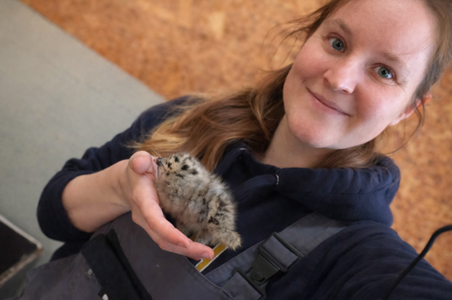 Sophia Knoch BMRI 2026