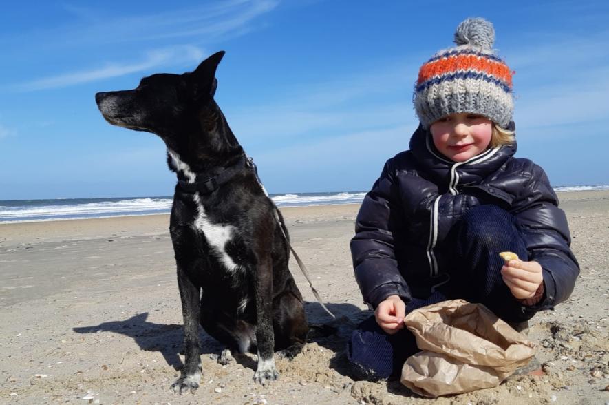 Grote Schelpenteldag in België 