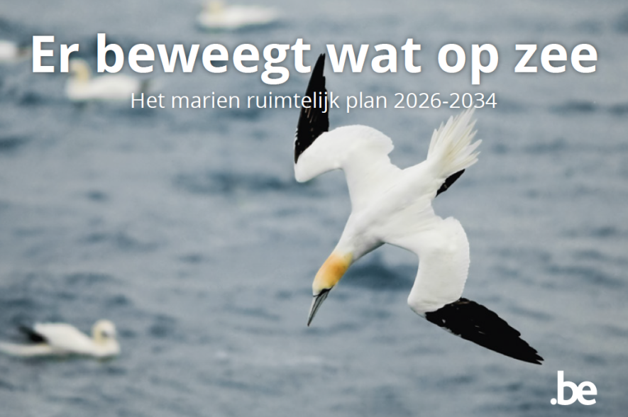 Cover brochure Er Beweegt Wat Op Zee