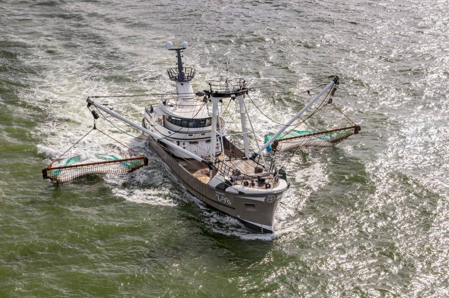 Vissersvaartuig Z98 Windroos in actie