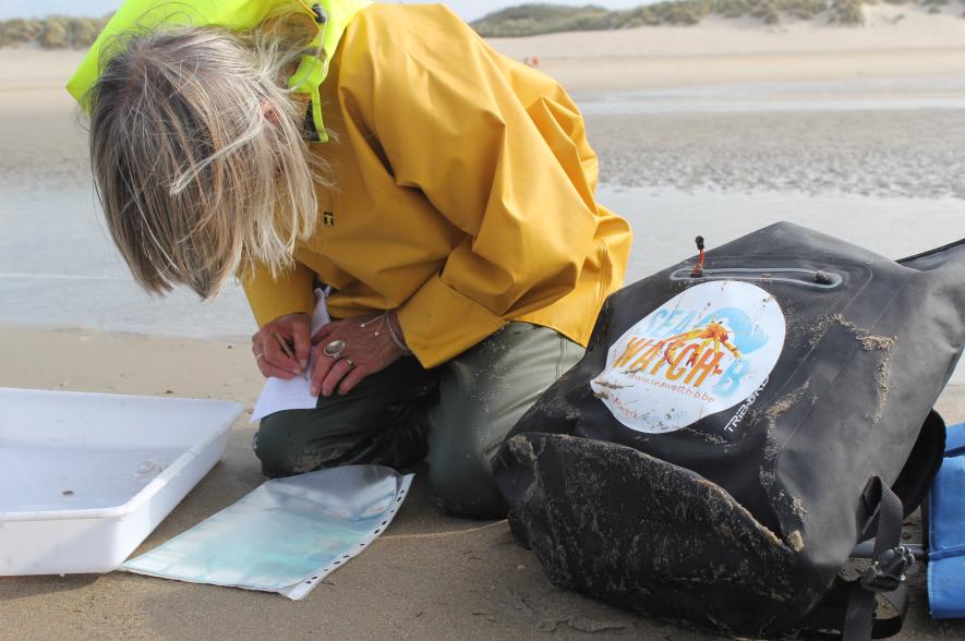 Een vrijwilliger van het Seawatcher-B burgerwetenschapsinitiatief actief op het strand
