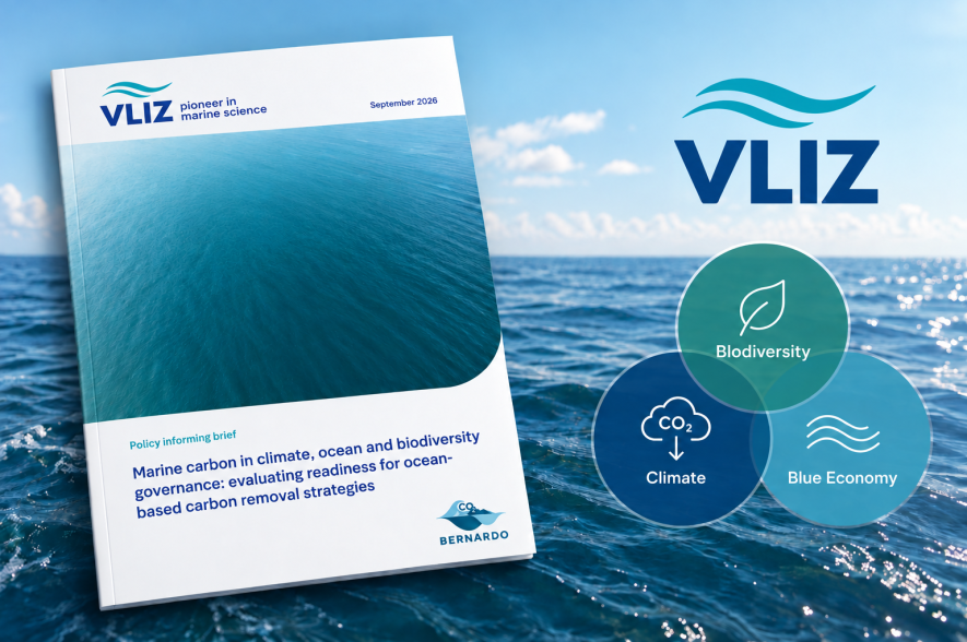 Cover PB ocean-based carbon removal BERNARDO